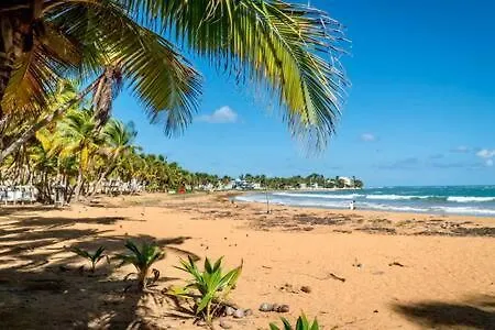 Seaside Serenity - Cozy Studio Apartment Luquillo